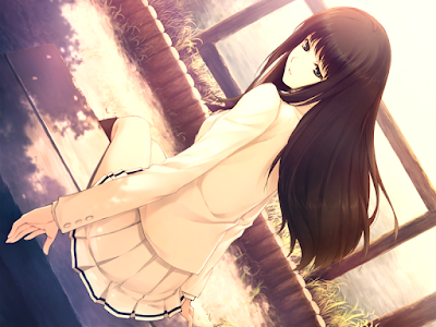 VN of the Month July 2008 - Kara no Shoujo - Vndbreview